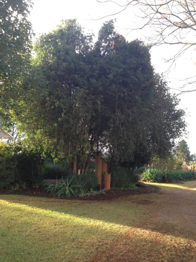 Deo Resta Guest Lodge Piet Retief Esterno foto