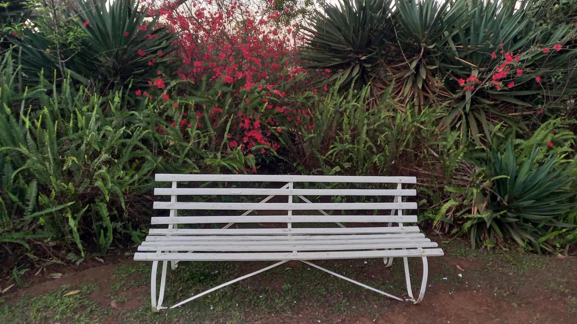 Deo Resta Guest Lodge Piet Retief Esterno foto