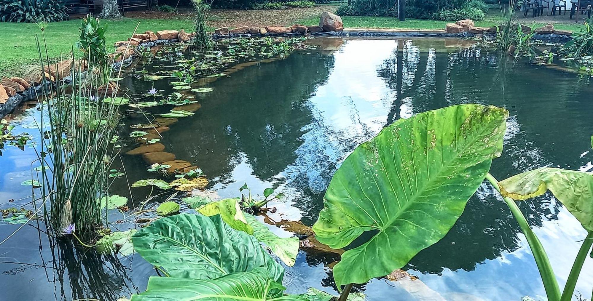 Deo Resta Guest Lodge Piet Retief Esterno foto
